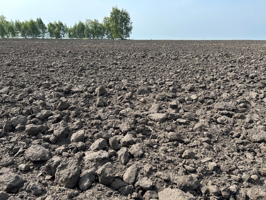 Сохраняющиеся в обработке засоленные почвы, бедные органическим веществом, с агрономически малоценной структурой и чрезвычайно низким потенциалом плодородия (ООО «Озёрное»)